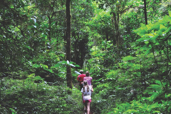 https://amerthabalivillas.com/wp-content/uploads/2019/01/trekking-to-Rainforest.jpg?utm_source=chatgpt.com